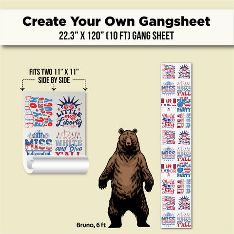 A product listing graphic for a custom 22.3 x 120 gang sheet.