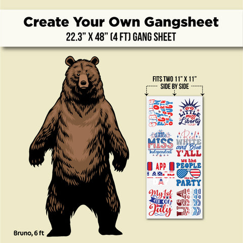 A product listing graphic for a custom 22.3 x 48 gang sheet.